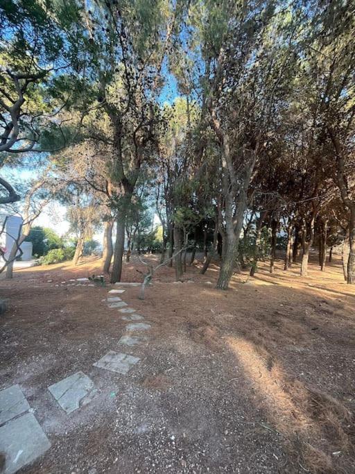 Holiday home Bouganville 1 Ostuni